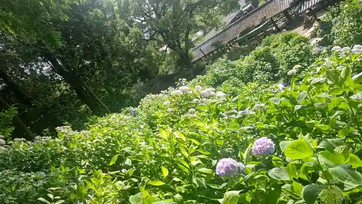 吉備津神社の自然