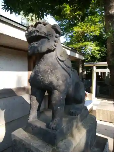 戸越八幡神社の狛犬