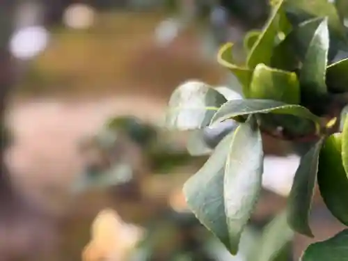西方山極楽寺(岐阜県)