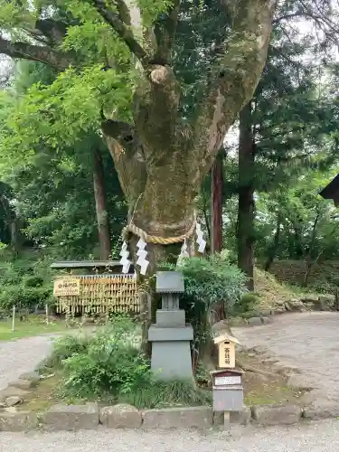 武田神社(山梨県)