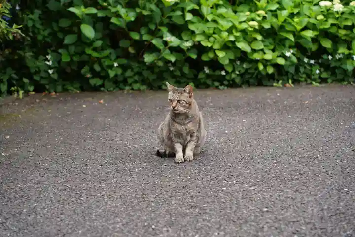 白金氷川神社(東京都)