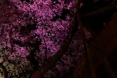 新城藤原神社(長野県)