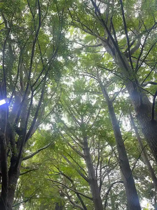 下総国三山 二宮神社(千葉県)