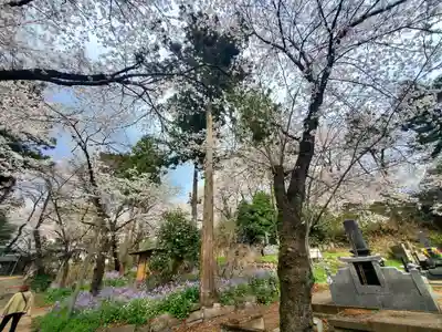 珊瑚寺(群馬県)