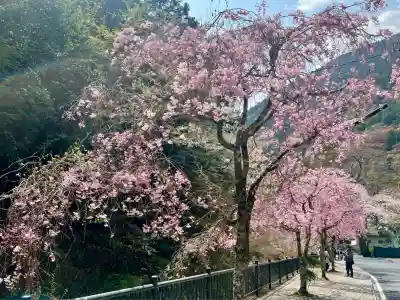 林蔵坊(山梨県)