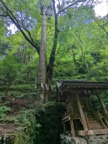 貴船神社奥宮(京都府)