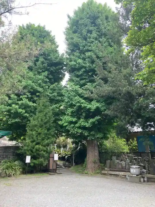 安楽院(神奈川県)