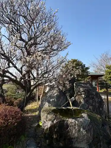 西林寺奥の院(杖の淵)の手水舎