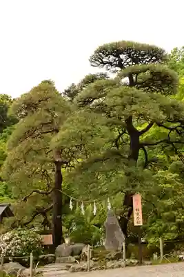 宝登山神社(埼玉県)