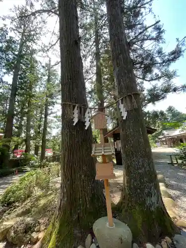 大崎八幡宮(宮城県)