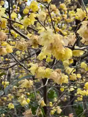 大蓮寺の{uncategorized: "未分類", other: "その他", undefined: "問題あり", building: "その他建物", grave: "お墓", sacred_gate: "鳥居", guardian: "狛犬", statue: "像", buddha: "仏像", history: "歴史", nature: "自然", garden: "庭園", animal: "動物", pagoda: "塔", temizu: "手水舎", mountain_gate: "山門・神門", sanctuary: "本殿・本堂", subordinate: "末社・摂社", art: "芸術", scenery: "景色", jizo: "地蔵", ema: "絵馬", goshuin: "御朱印", omikuji: "おみくじ", items: "授与品その他", amulet: "お守り", goshuincho: "御朱印帳", eats: "食事", festival: "お祭り", votive_dance: "神楽", shichigosan: "七五三参", wedding: "結婚式", experience: "体験その他", initially: "初詣", around: "周辺", anti_infection: "感染症対策"}