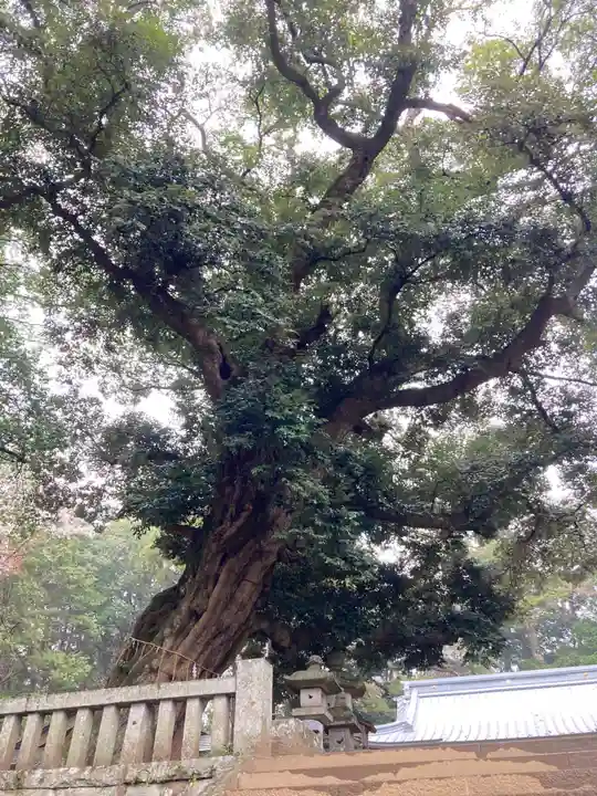 雨引千勝神社(茨城県)