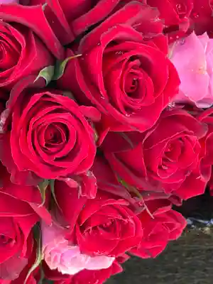 上尾御嶽神社(埼玉県)