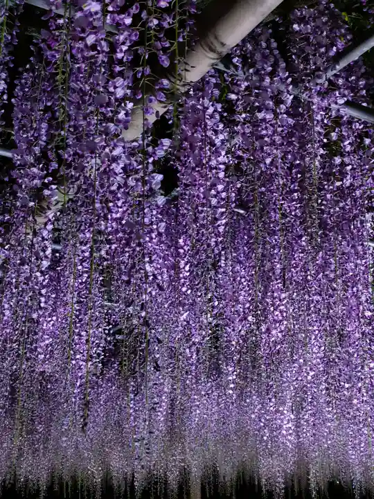 津島神社の周辺