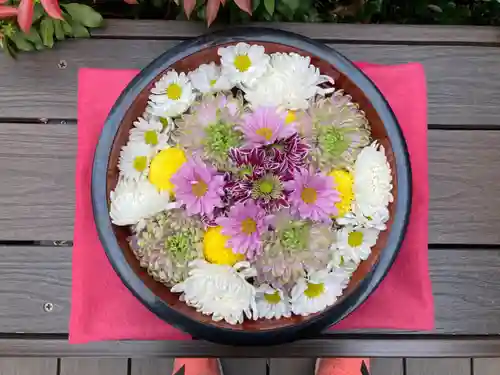 増上寺塔頭 三縁山 宝珠院の手水舎