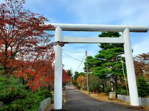 開成山大神宮の鳥居