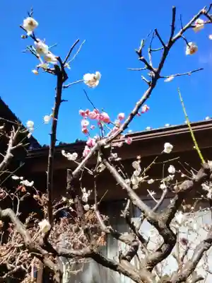 田端神社(東京都)