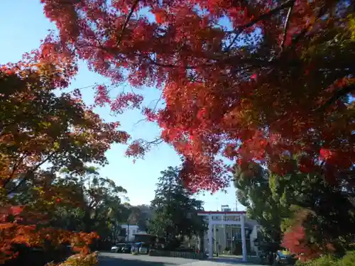 鎌倉宮の景色