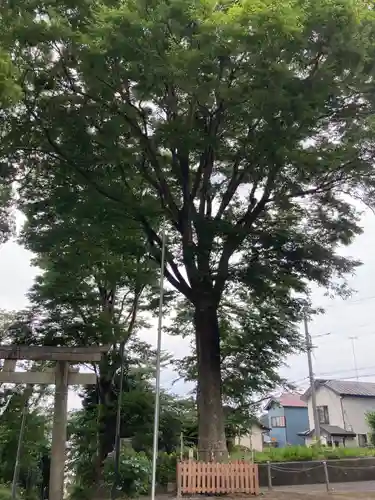 北金目神社(神奈川県)