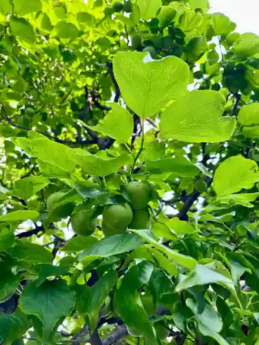 當光寺(東京都)
