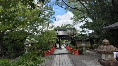 今宮神社(京都府)