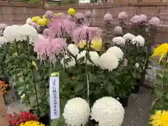 亀戸天神社の建物その他