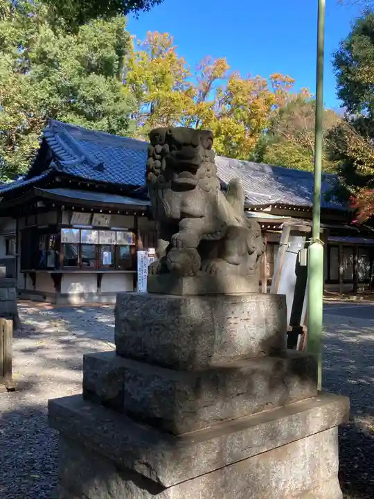 南沢氷川神社の狛犬