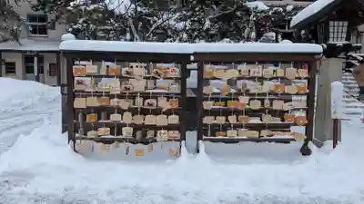 豊平神社のおみくじ