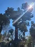 妙照寺(千葉県)