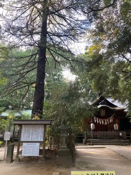 氷川女體神社(埼玉県)