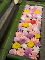 水無瀬神宮(大阪府)