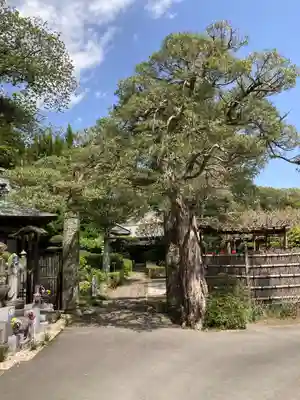 西光寺(神奈川県)