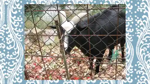 賀茂別雷神社(栃木県)