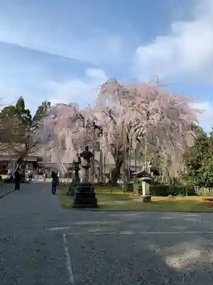 足羽神社(福井県)