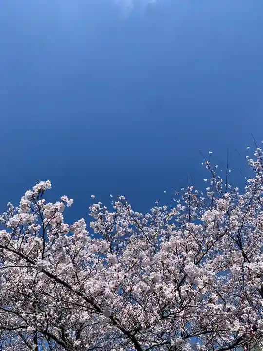 滑川神社 - 仕事と子どもの守り神(福島県)