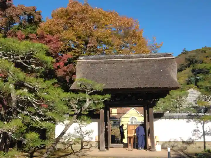 長壽寺(長寿寺)(神奈川県)