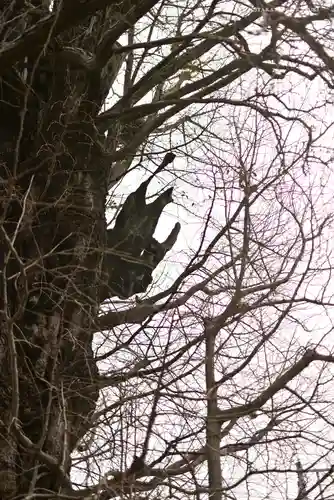 飛木稲荷神社(東京都)