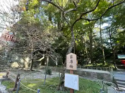 久能山東照宮(静岡県)
