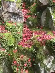 西明寺(滋賀県)