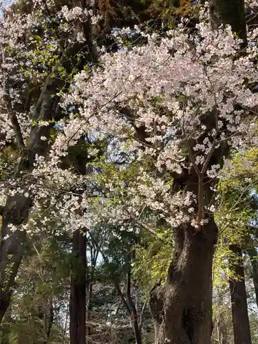 東漸寺(千葉県)