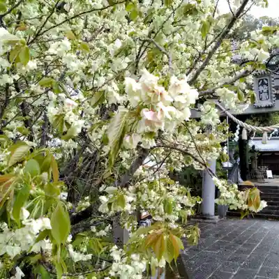 上地八幡宮(愛知県)