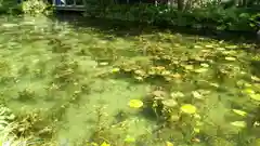 根道神社の庭園