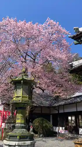 修禅寺(静岡県)