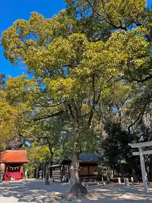 知立神社(愛知県)
