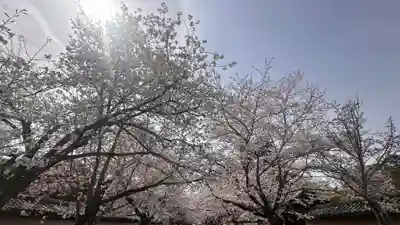 醍醐寺(京都府)