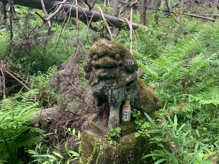神社(名称不明)の狛犬