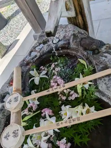 津島神社(宮城県)