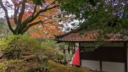 霊鑑寺門跡(京都府)