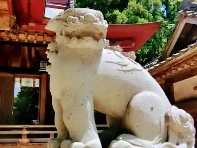 素鵞神社の狛犬