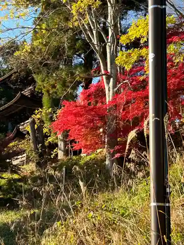 国宝 大法寺(長野県)